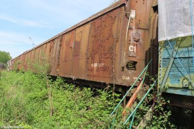 Photo of 975051